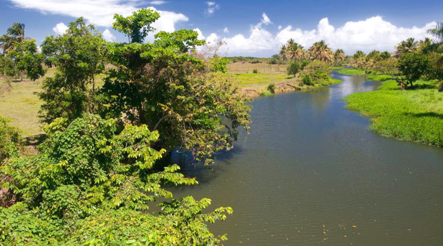 Top-Autovermietungsoptionen in Nagua